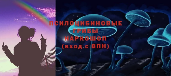 герыч Алексин