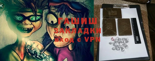 PSILOCYBIN Ельня