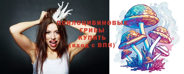 круглые Алексеевка